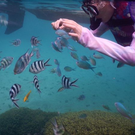 ゲストハウス備瀬の海 Luaran gambar