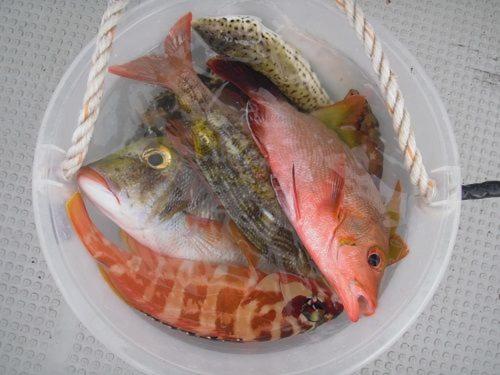 ゲストハウス備瀬の海 Luaran gambar