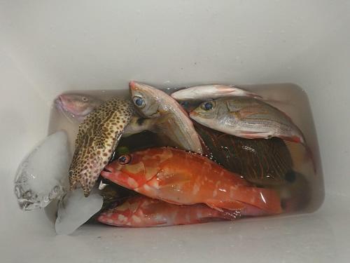 ゲストハウス備瀬の海 Luaran gambar